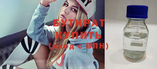 шишки Надым