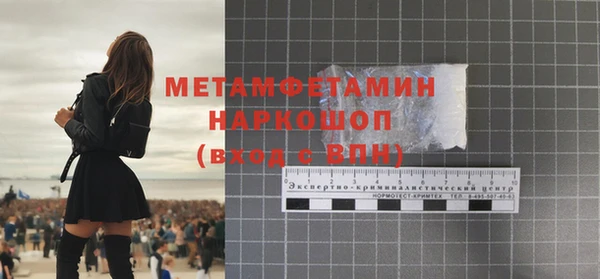 шишки Надым