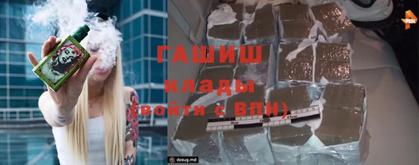 шишки Надым