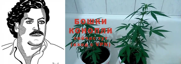 шишки Надым