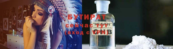 шишки Надым