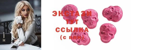 шишки Надым