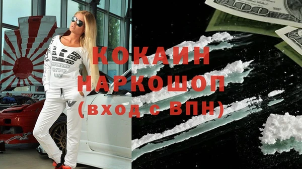 шишки Надым
