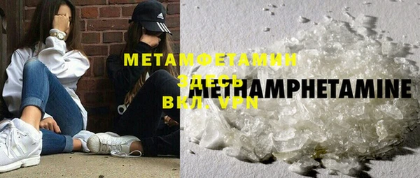 шишки Надым