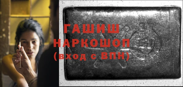 шишки Надым