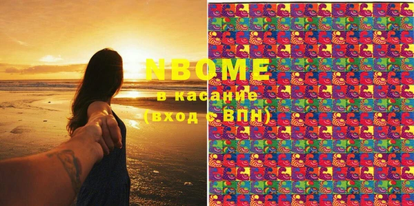 шишки Надым