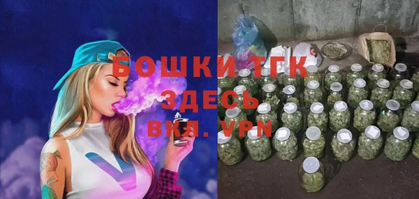 шишки Надым
