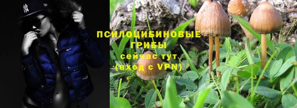 шишки Надым