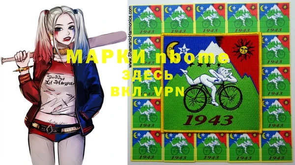 шишки Надым