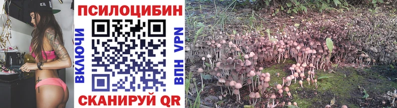 Галлюциногенные грибы мицелий  Купить где  Лахденпохья 